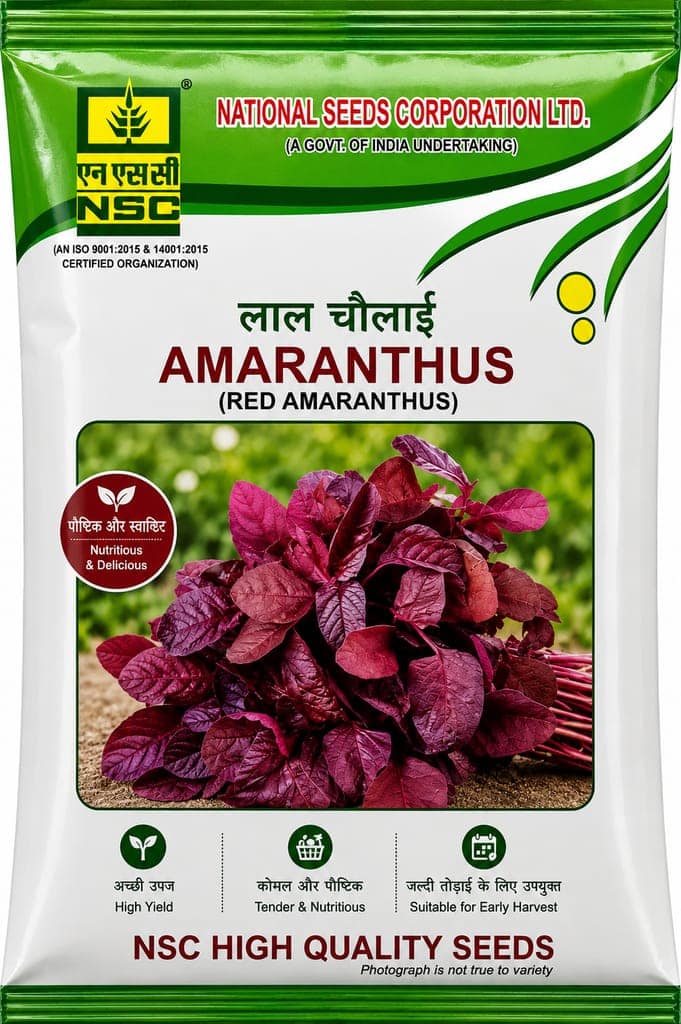 NSC Amaranthus Pusa Lal Chaulai, 10 gm Seed Pouch view 2