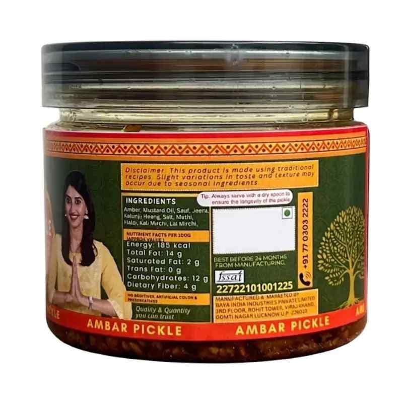 Ambar Ka Achar | Amda (June Plum) Pickle | Traditional Homemade Indian Pickle | Baya India view 2