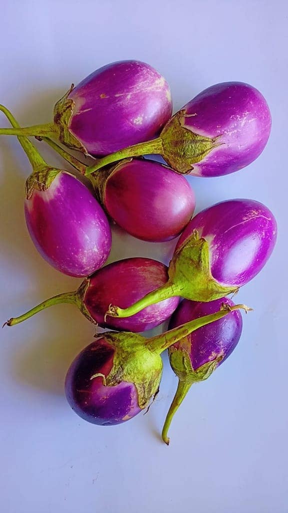 Brinjal view 2