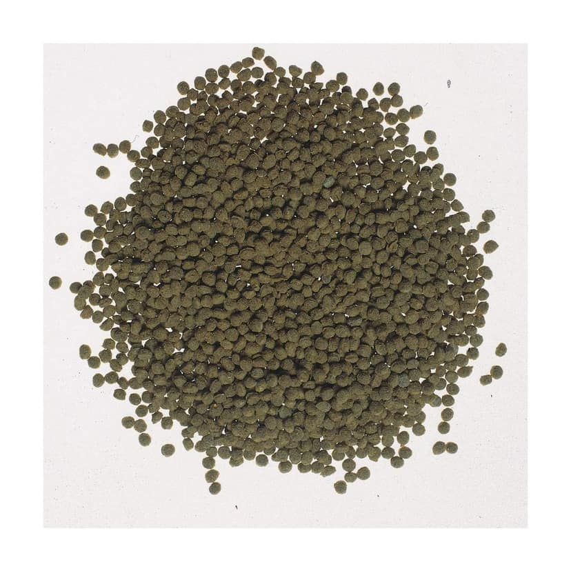 Tetra Goldfish Gold Colour 75g view 2