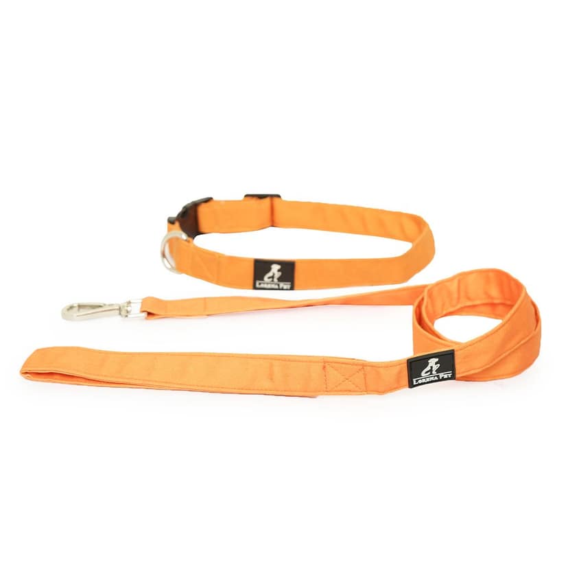 Fashion Dog Classic Mustard Dog Collar & Leash Set..