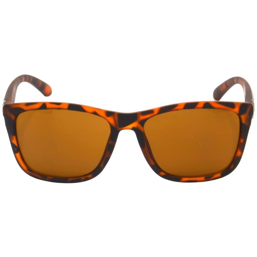 Hrinkar Brown Rectangular Sunglasses Brands Brown Frame Goggles for Men & Women - HRS491-TBWN-BWN view 2