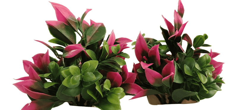 Artificial Small Plants for Home Decor, Set of 2 view 2