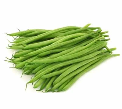 Beans Haricot