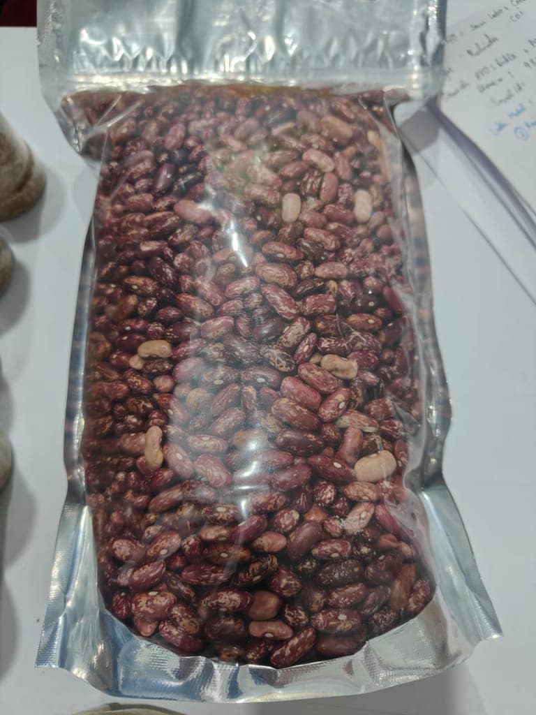 Rajma view 2