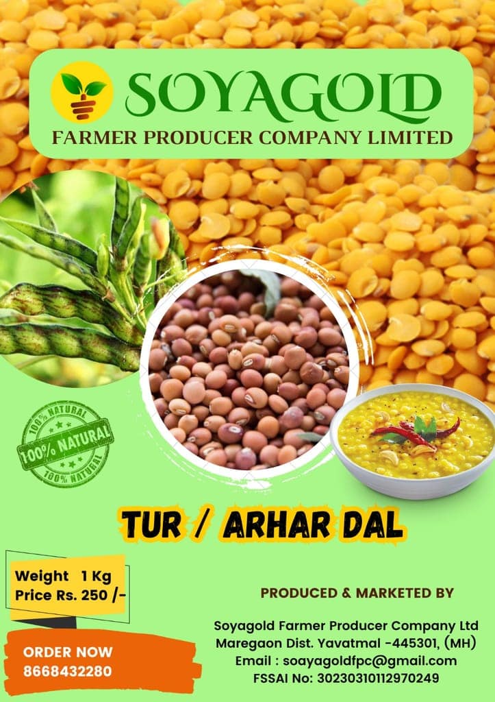 Tur / Arhar Dal view 2