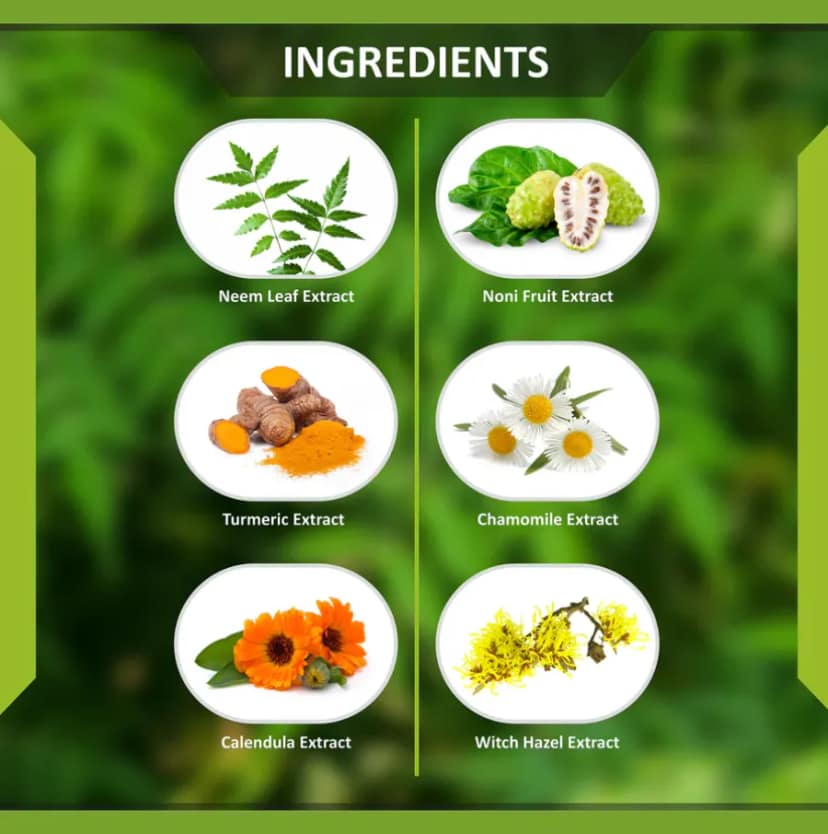 Treeology Herbal Plant Based Power Neem Purifying Face Wash view 2