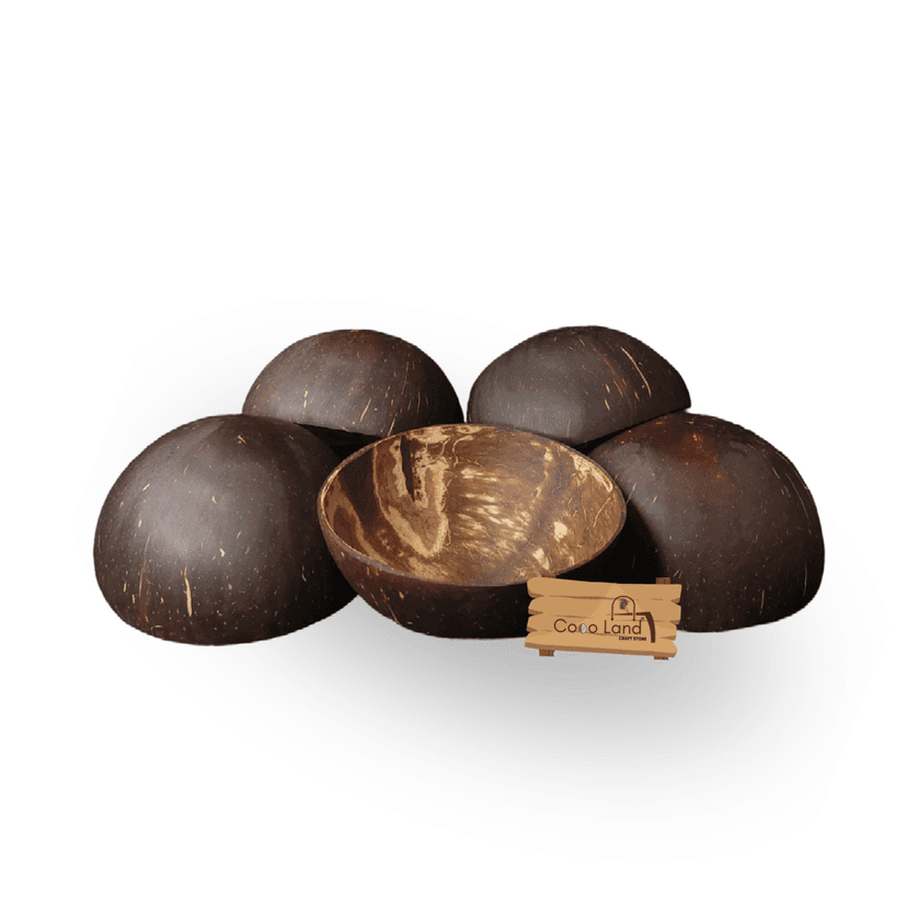 Coco Land Coconut Shell Matte Polished Bowl S-M-L 100-150-250 ml Decorative Bowl/ Candle Making Bowl /Showpieces /Handicraft/Candle Holder /Salad Bowl/Smoothie Bowl