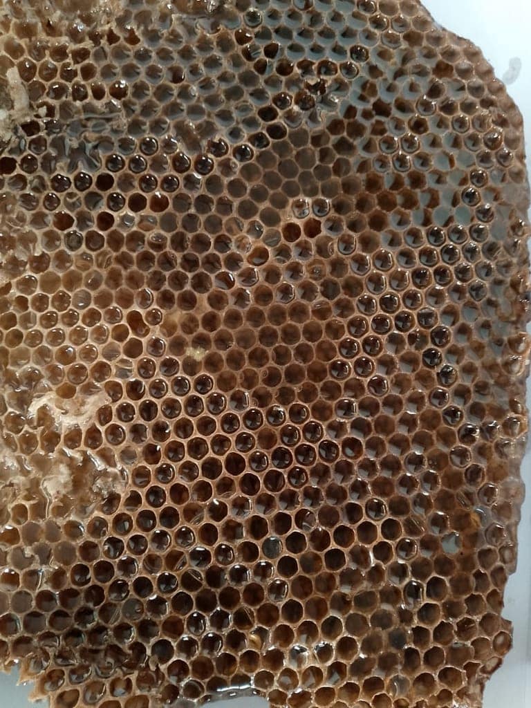 Natural Honeycomb view 2
