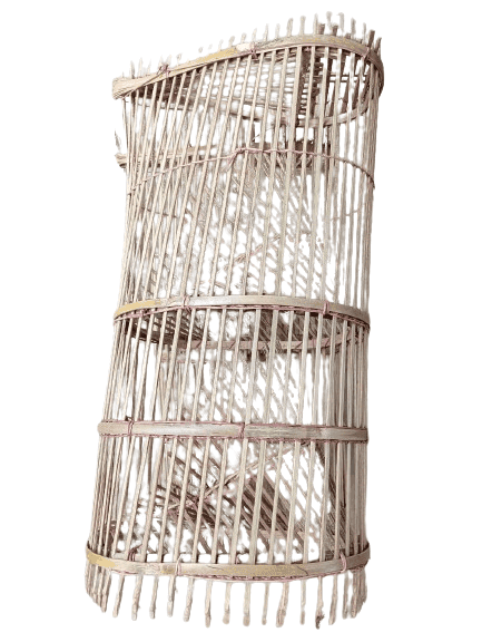 Jolonga or Bamboo Fish Trap view 2
