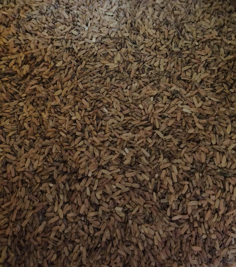 Organic Black Rice Manipur Chak Hao Parboiled view 2