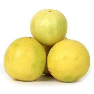 Lemon 6 pcs