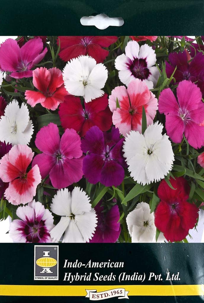 DIANTHUS CORONET MIX PL SEEDS - 15 SEEDS view 2