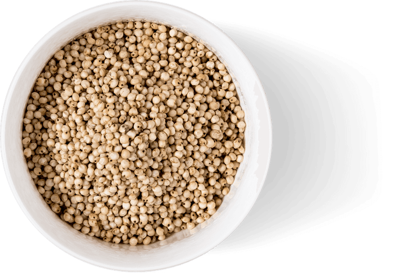 Sorghum (Jawar) - 1 kg view 2