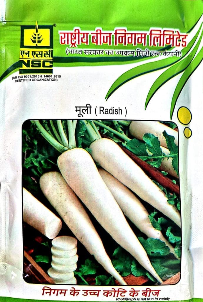 NSC-RADISH/-100 GMS SEEDS