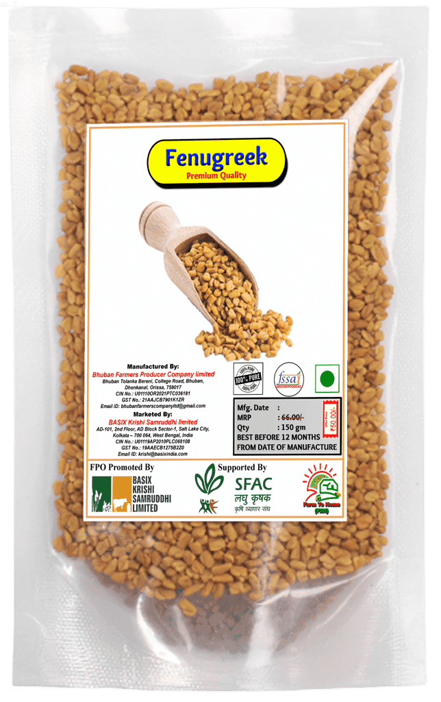 Fenugreek | Methi | Premium Quality | 150 gm view 2