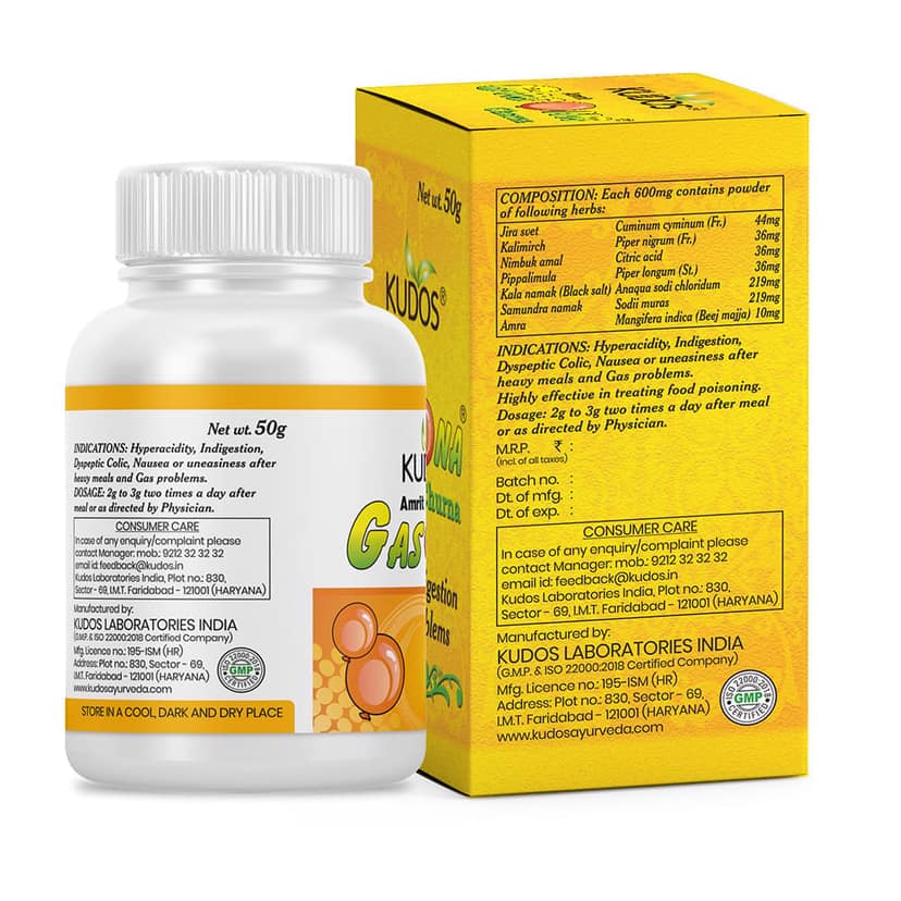 Kudos Amrit Gasona Churna | 50G view 2