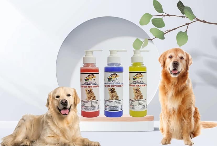 SWACCH Premium Shampoo for Golden Retriever (200ML)(Combo Pack of 3) Strawberry, Lavender & Lemon