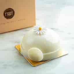 COCONUT RASPBERRY DOME