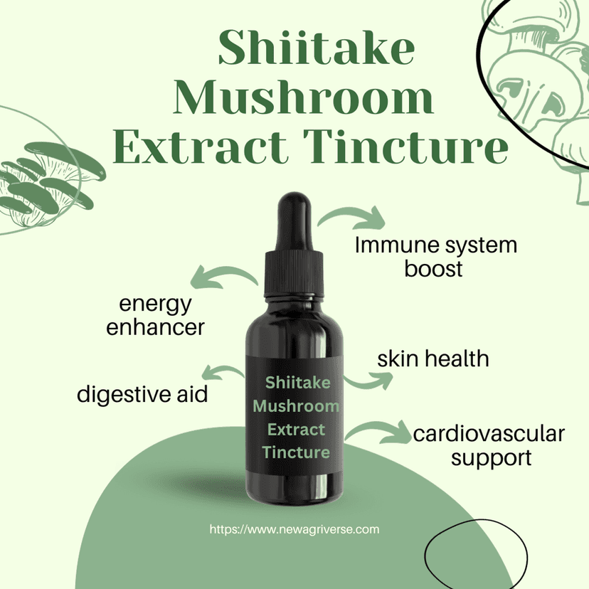 Shiitake Mushroom Extract Tincture 30ml (60 Servings) view 2
