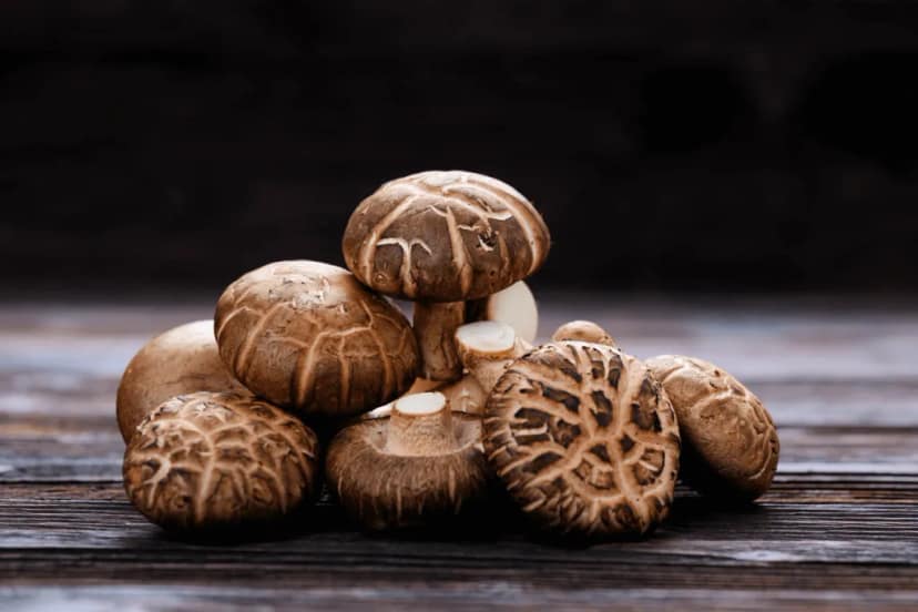 SomaShrooms Cholesterol Lowering Mushroom-Dried/Whole view 2