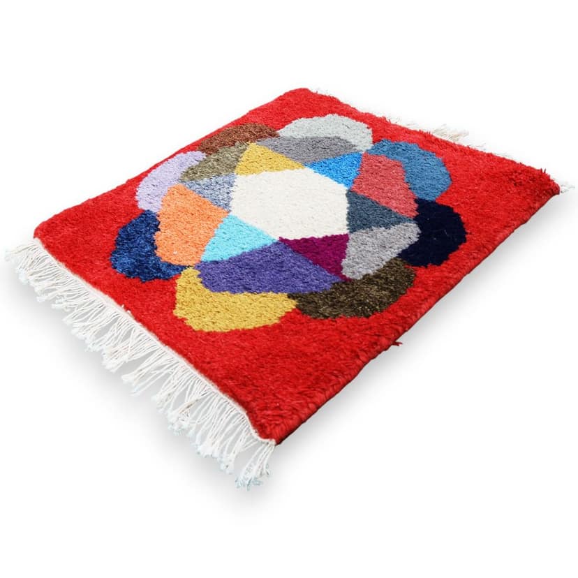 Eluru-Premium Handcrafted Multicolor Shaggy Rug | Soft Designer Floor Mat with Tassels | Anti-Slip Decorative Carpet for Living Room, Bedroom & Entrance