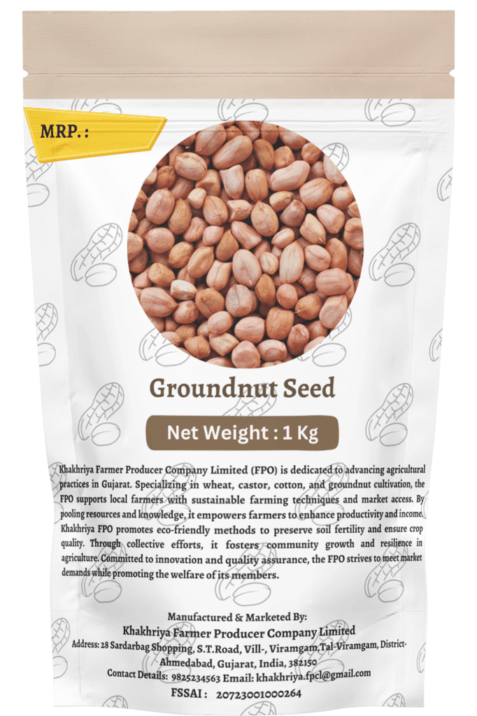 Groundnut Seeds view 2