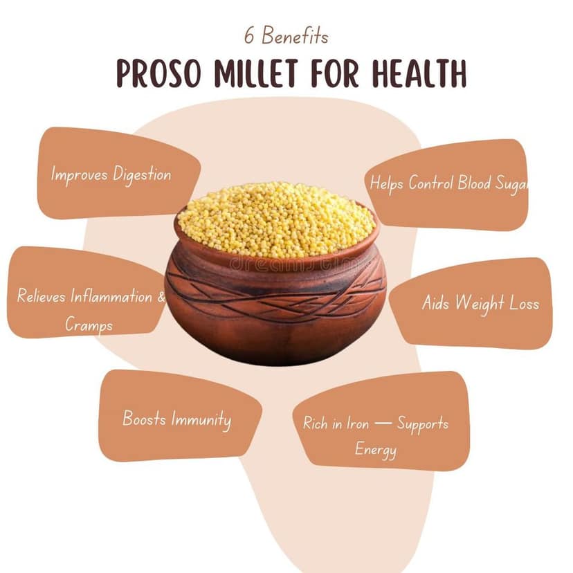 VFPL | Premium Proso Millet (500 gm) | 100% Natural & Unpolished | Gluten-Free, High Fiber & Protein-Rich Superfood | Ideal for Healthy Meals view 2