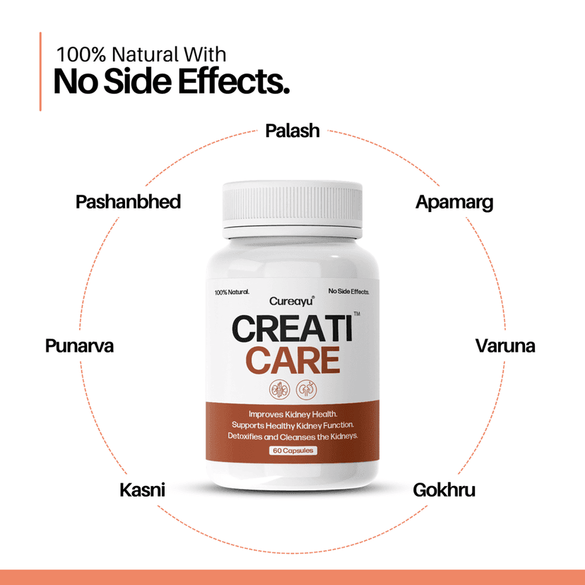 CreatiCare™ | For Healthy Creatinine Levels & Kidney Support view 2