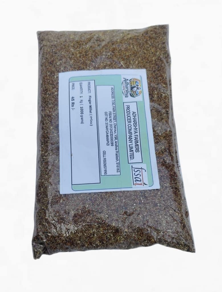 Finger Millet (Ragi) view 2