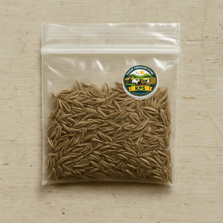 Kusum Provision Store's cumin seeds