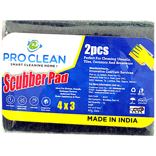 Pro Clean Scrub Pad 4 Inch X 6 Inch (2 Piece)