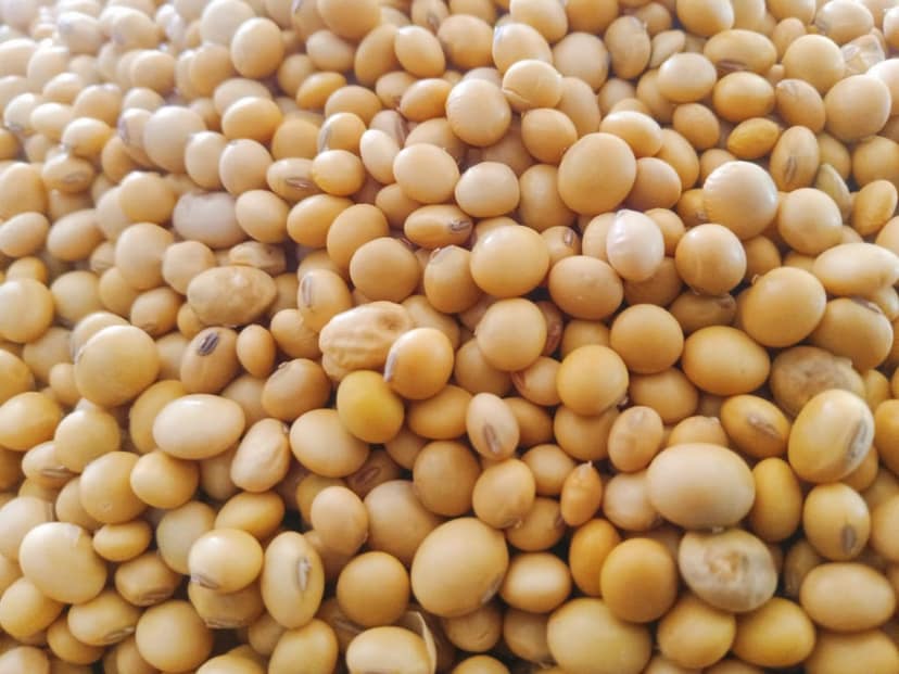 Soyabean 1Kg packing view 2