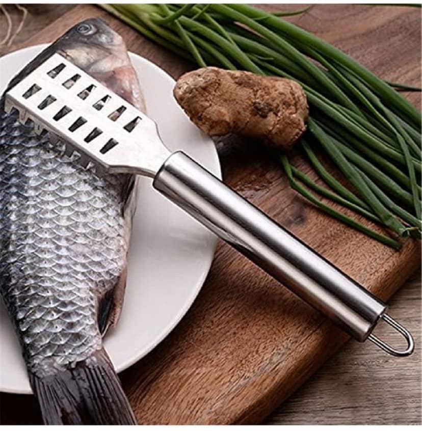 Fish Scaler view 2