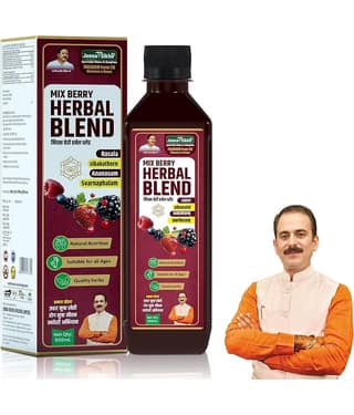 Jeena Sikho Mix Berry Herbal Blend | Ayurvedic Immunity Booster & Natural Detox Tonic | Antioxidant-Rich Berry Juice | Supports Skin Health & Digestion, 500 ml