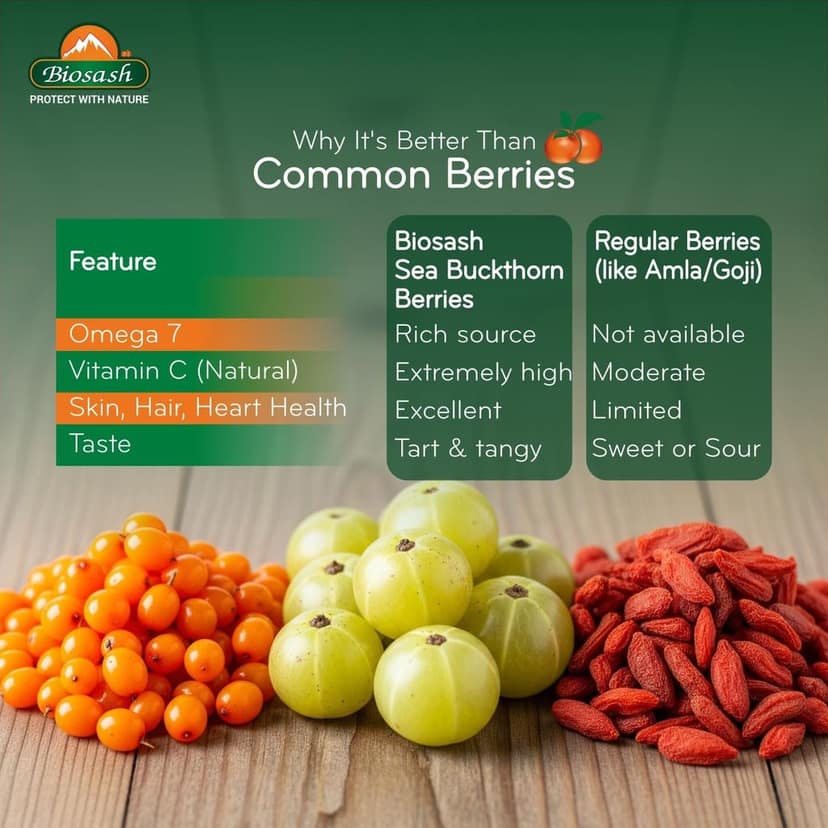 Biosash Sea Buckthorn Dry Berries 100g - Sun Dried Seabuckthorn Berries With Vitamins, Antioxidants, Natural Dried Sea Buckthorn Berry, Omega 3 6 7 & 9 | Helps in immunity, Heart, Liver health view 2
