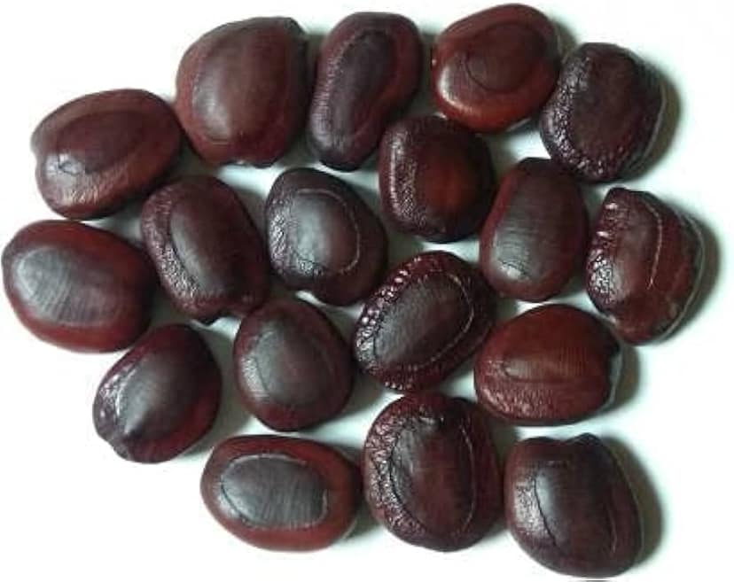 Imli Seed, Tamarind Seed, Tamarind Kernel, Chinch Seed, Tamarind Beej 30kg view 2