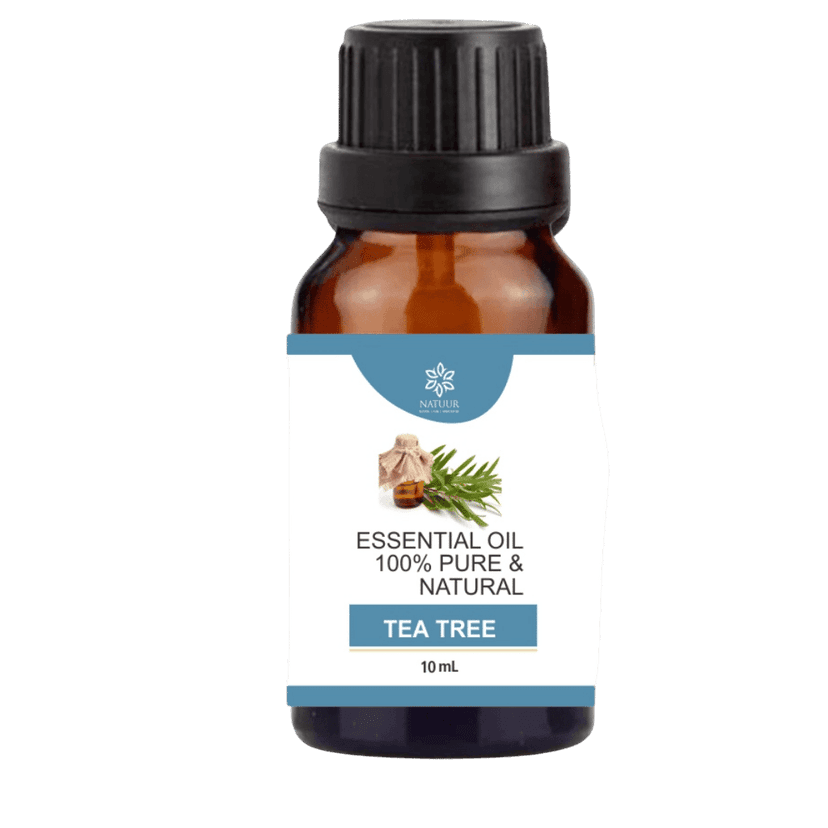PURITY | Tea Tree Essential Oil | Steam Distilled | Pure | Purify | Protect | Restore