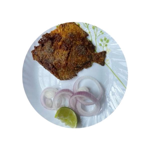 Pamfret Rawa Fry