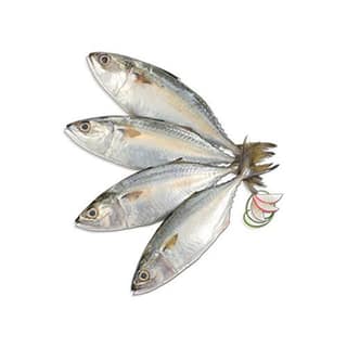 Mackeral/Bangda 500g