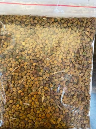 CHANA
