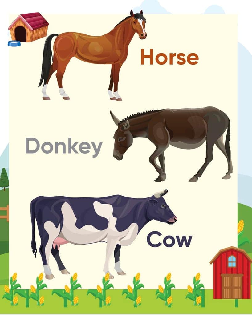 Edsmart My First Picture Books Collection for Kids - 3 Books Combo - Alphabet, Numbers, Animals picture book, Birds, Insects, Seasons, Body parts, ... books for kids (Edsmart early writing books) [Paperback] [Jan 01, 2023] Edsmart Edu Services Pvt Ltd view 2