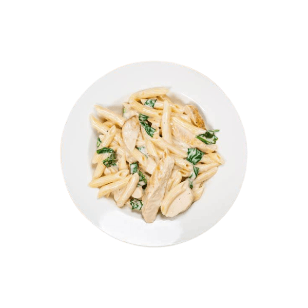 Alfredo Penne Chicken Pasta