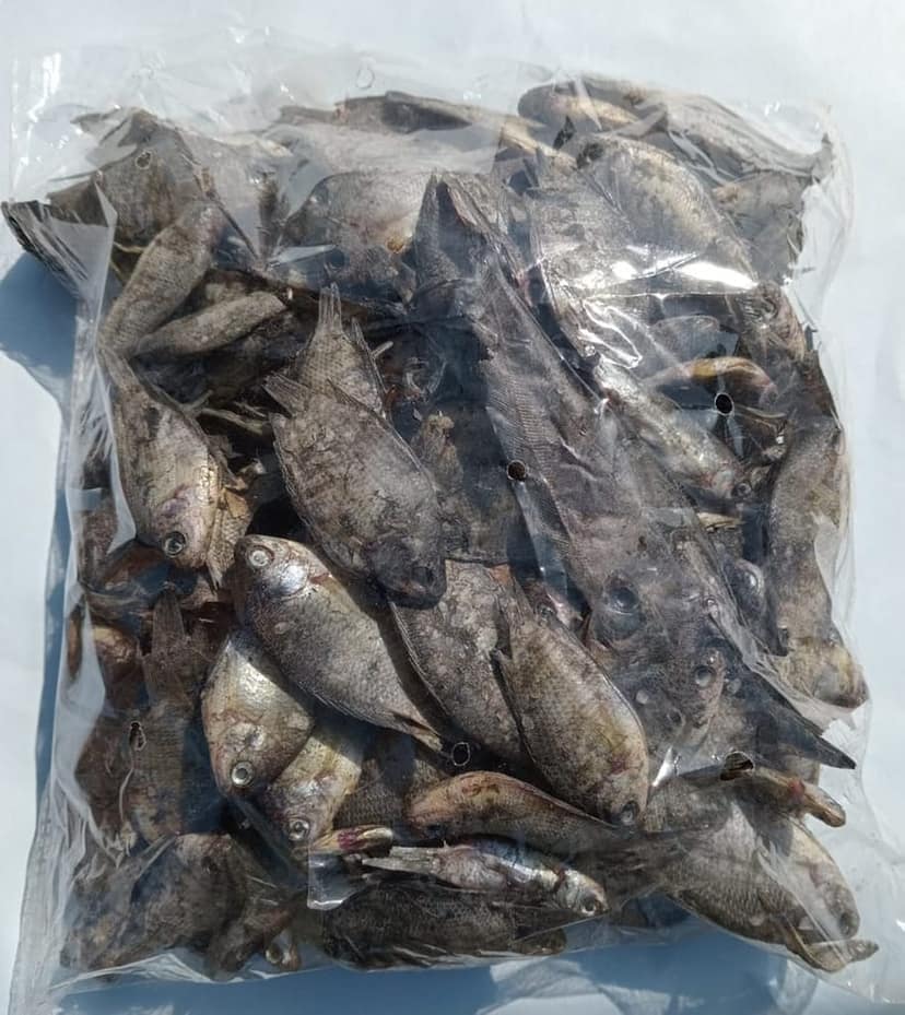 Khesua Dry Fish | 500 gm view 2