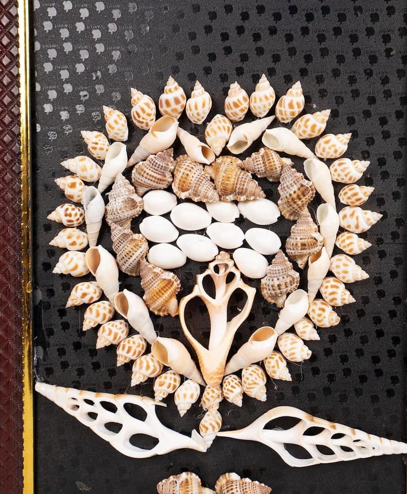 SonChiraiya seashell wood frames view 2