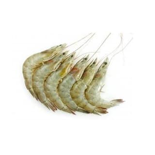 White Prawn (Medium) 1kg