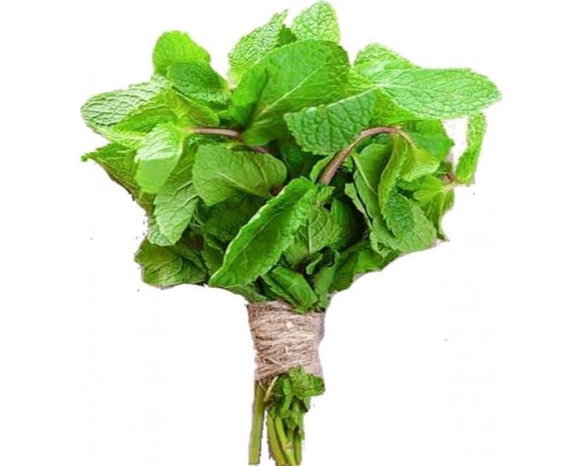 Pudina 1 Bunch