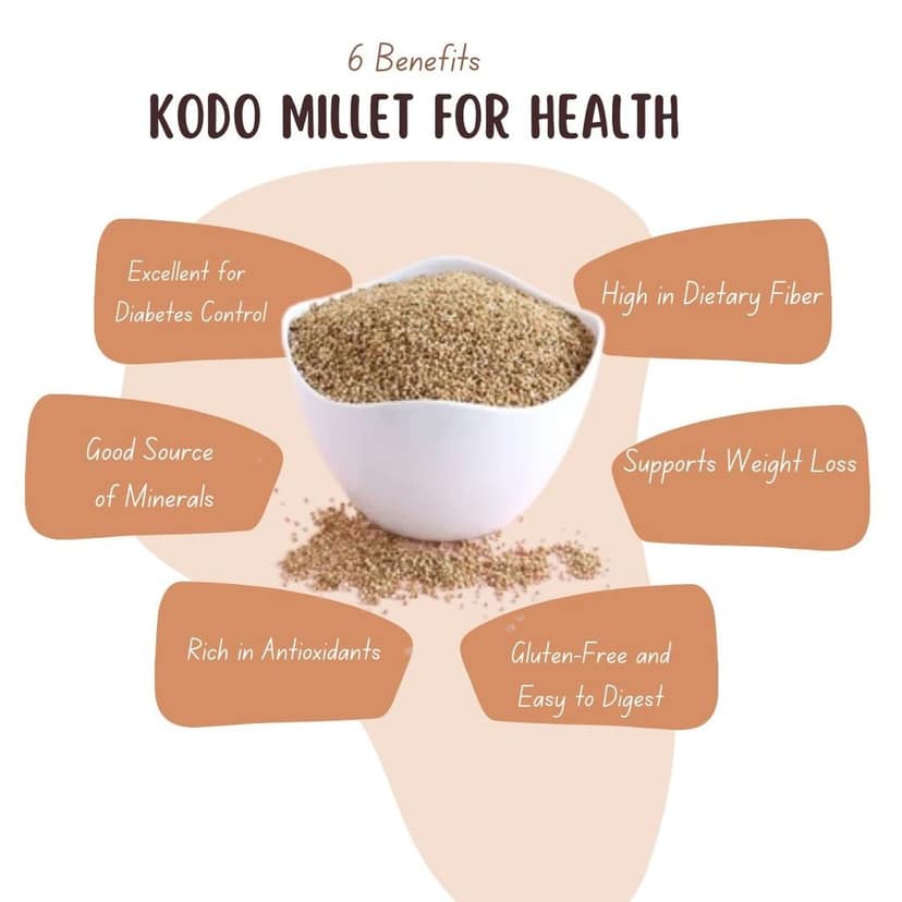 VFPL | Premium Kodo Millet (500 gm) | 100% Natural & Unpolished | Gluten-Free, High Fiber & Protein-Rich Super Grain | Ideal for Healthy Meals view 2