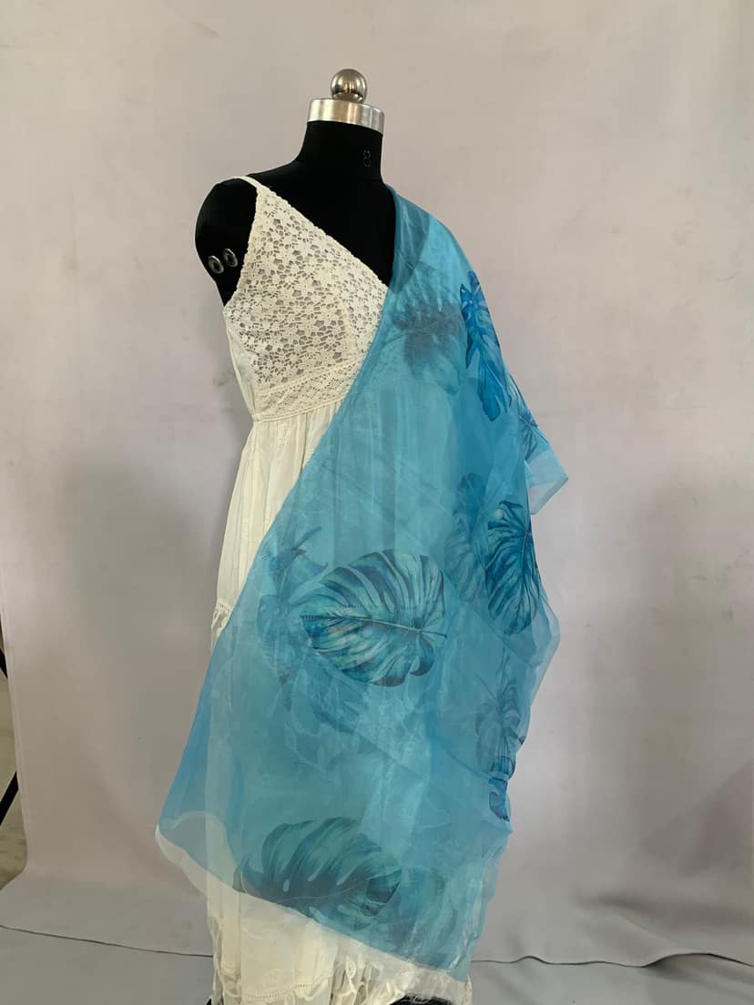 NVSBO018-Sky Blue Color Organza | Per meter view 2