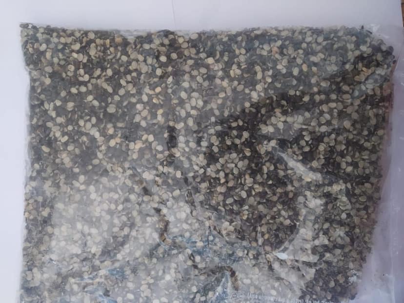 Organic Black Urad Dal view 2